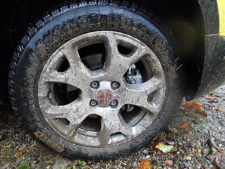 Der kleine Dreckbär: Mit dem neuen Fiat Panda Cross ist man dank modernem Allradantrieb auf Matsch und Schnee munter unterwegs.