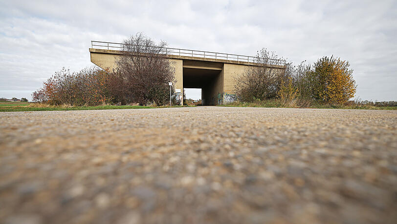 Eine ungenutzte Brücke für eine nicht fertiggestellte Straße steht am Rande eines Feldes - von Bäumen umwachsen. Der Bund der Steuerzahler hat das Schwarzbuch 2021/22 vorgestellt. (Symbolbild)