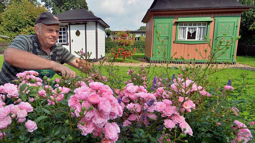 Unbeschwert den Garten pflegen ist in Laim nicht überall möglich. (Symbolbild)