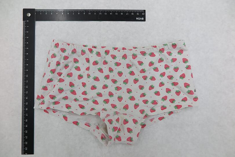 In der Wohnung des 19-Jährigen stellte die Polizei neben einem Computer, Datenträgern und einem Mobiltelefon auch Mädchenkleidung, Bikinis und Badebekleidung sicher.