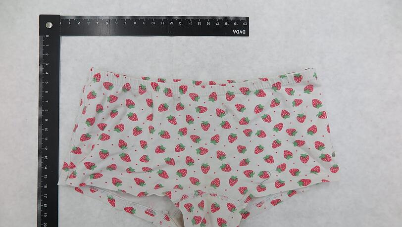 In der Wohnung des 19-Jährigen stellte die Polizei neben einem Computer, Datenträgern und einem Mobiltelefon auch Mädchenkleidung, Bikinis und Badebekleidung sicher. In der Wohnung des 19-Jährigen stellte die Polizei neben einem Computer, Datenträgern und einem Mobiltelefon auch Mädchenkleidung, Bikinis und Badebekleidung sicher.