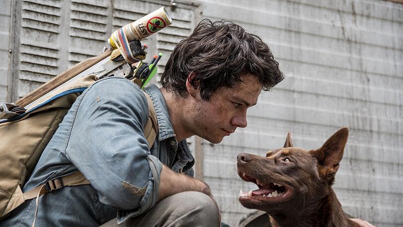 Gemeinsam sind sie stark: Joel (Dylan O'Brien) und Hund Boy.