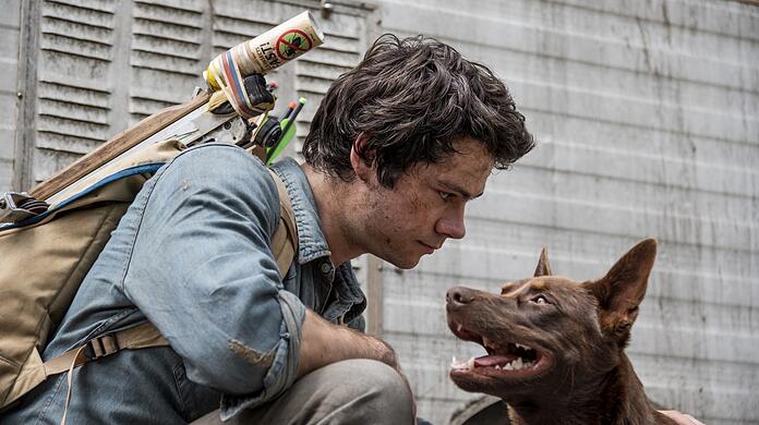 Gemeinsam sind sie stark: Joel (Dylan O'Brien) und Hund Boy.