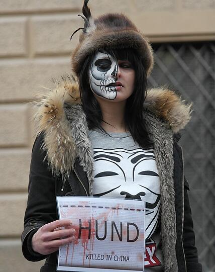 Kunstpelz oder Hund? Hund.