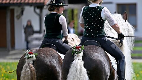 Auch hinten herausgeputzt - die Pferde beim Georgiritt. (Archivbild)