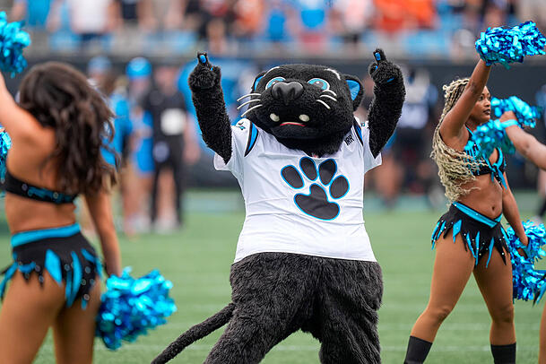 Das Maskottchen der Carolina Panthers wird am Sonntag für Stimmung sorgen: Sir Purr.