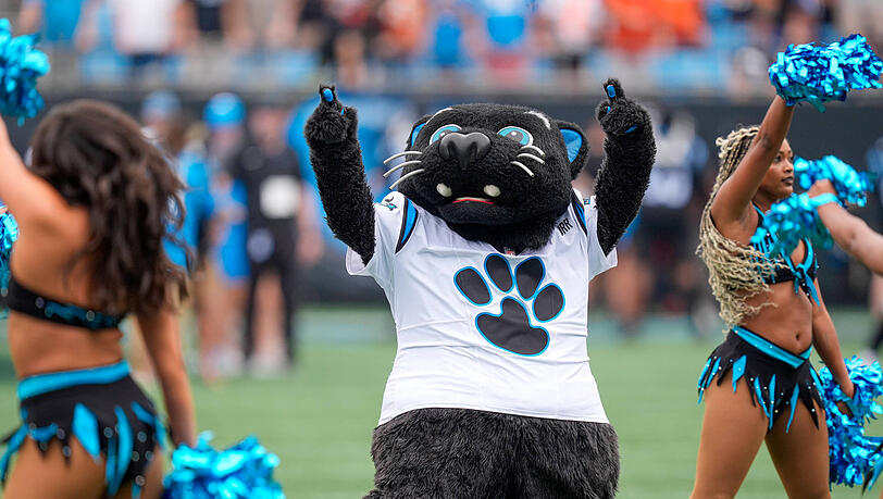 Das Maskottchen der Carolina Panthers wird am Sonntag für Stimmung sorgen: Sir Purr. Das Maskottchen der Carolina Panthers wird am Sonntag für Stimmung sorgen: Sir Purr.