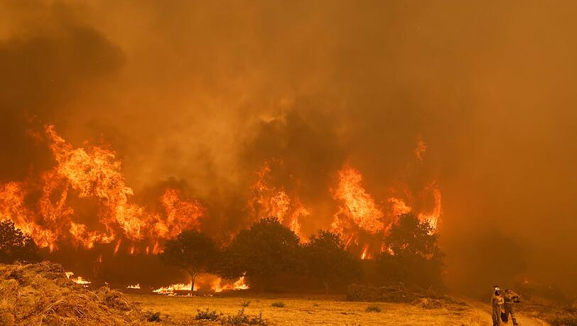 Die Brandbekämpfer sehen sich teilweise mit riesigen Feuerwänden konfrontiert, die durch stürmische Winde jederzeit blitzartig die Richtung ändern können.