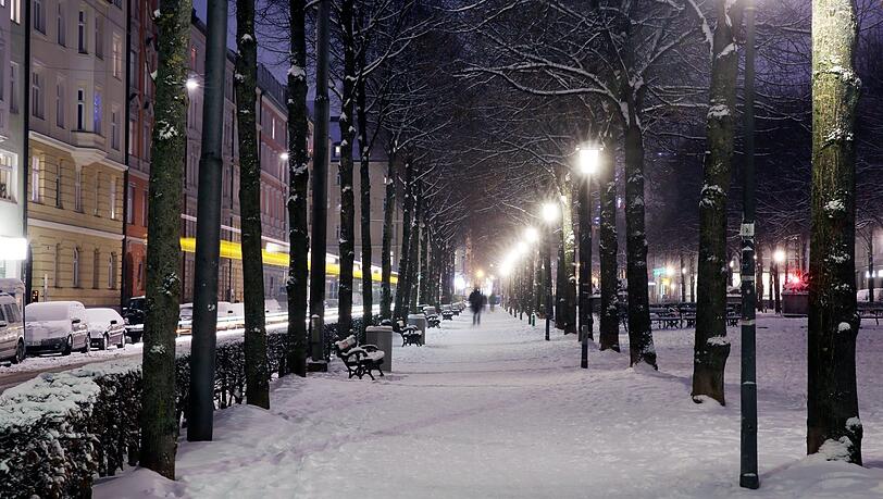 Weiße Pracht: Schnee-Allee am Bordeauxplatz. Weiße Pracht: Schnee-Allee am Bordeauxplatz.