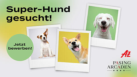 Bei dieser Aktion kommt es auf die Charaktereigenschaften an.
