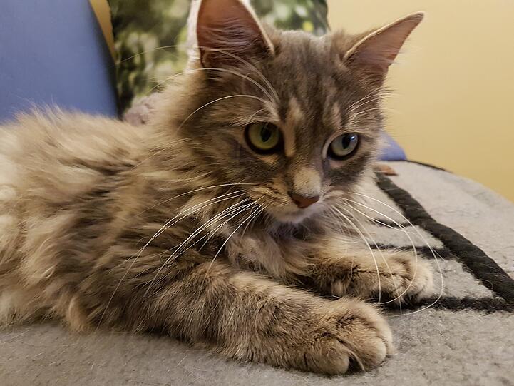 Jackie