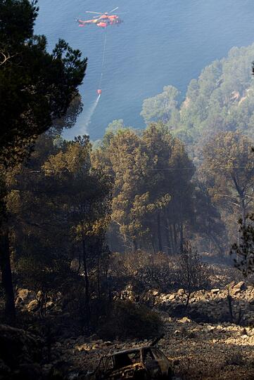 Waldbrand auf Mallorca - Bilder von der Ferieninsel