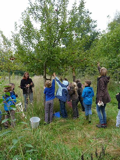 Garteln in der Stadt: Die Bäume auf der Streuobstwiese am ÖZB sind für kleine Münchner greifbar nahe.