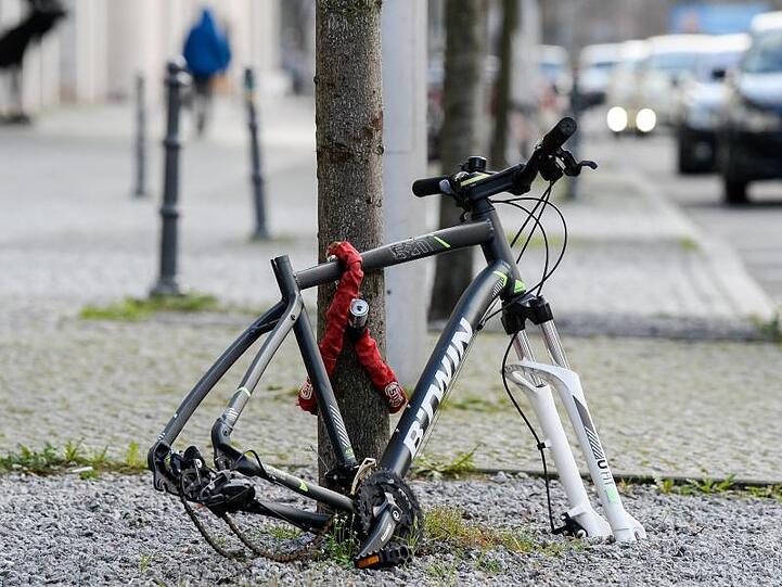 Reifen und Sattel sind weg, nur noch der Rahmen eines Fahrrads ist - hier in Berlin - an einen Baum gekettet.