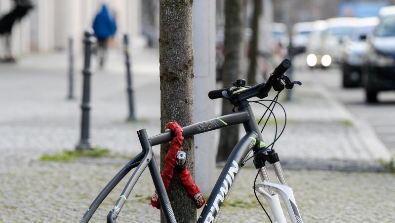 Reifen und Sattel sind weg, nur noch der Rahmen eines Fahrrads ist - hier in Berlin - an einen Baum gekettet. Reifen und Sattel sind weg, nur noch der Rahmen eines Fahrrads ist - hier in Berlin - an einen Baum gekettet.
