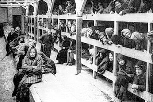 Zusammengepfercht, hungernd, frierend, leidend: So warteten  die KZ-Häftlinge in Auschwitz auf den Tod.