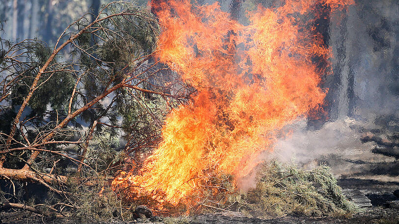 Aktuell besteht in Deutschland erhöhte Waldbrandgefahr. (Archivbild)