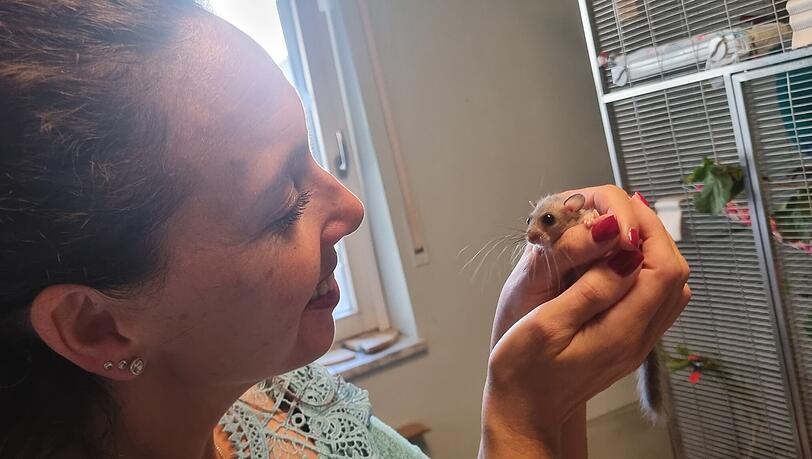 Sabine Gallenberger zieht seit 20 Jahren verletzte und verwaiste Wildtiere auf. Jetzt ist sie f&uuml;r den Deutschen Tierpreis nominiert.