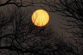 Der leuchtende Feuerball über den Rodachauen lässt Vorfreude auf den Frühling aufkommen.