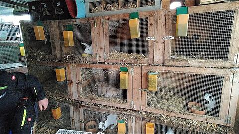 Der Holzverschlag, in dem die Dutzenden Tiere illegal gehalten wurden.