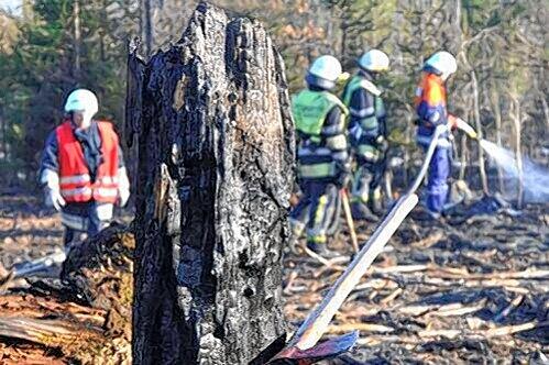 Feuerwehrmänner bekämpfen das Feuer im Forstenrieder Park.