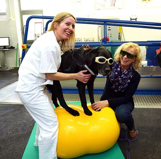 Labrador Pepper und seine Besitzerin Ulrike Kunze müssen eine Laserbrille aufsetzen. Max bekommt eine Lasertherapie. Im letzten Sommer ist er von einer Zecke gebissen worden und erkrankte an FSME. Er konnte sich überhaupt nicht mehr bewegen. Dr. Barbara Esteve behandelt Pepper erfolgreich mit Physiotherapie sodass er wieder laufen kann.