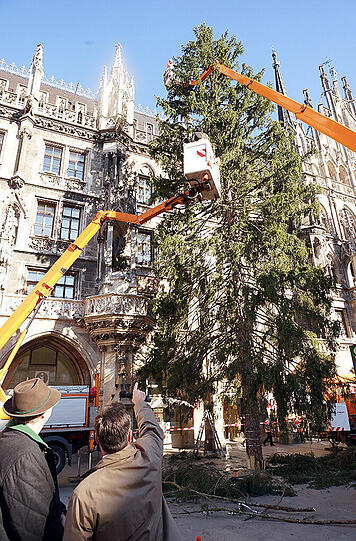 Bürgermeister Josef Schmid (r.) am Donnerstag am Marienplatz. Der Münchner Christbaum steht.
