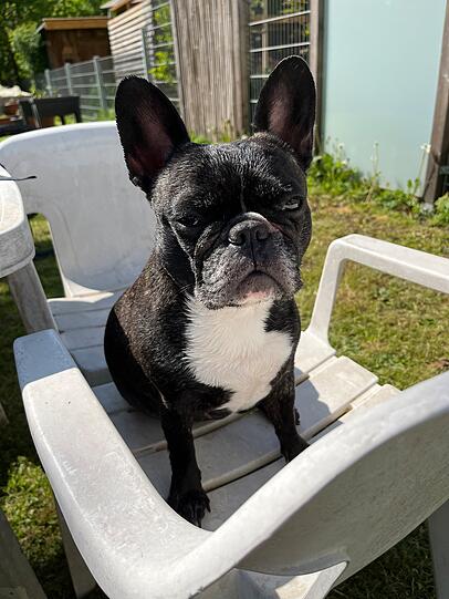 Lucy
