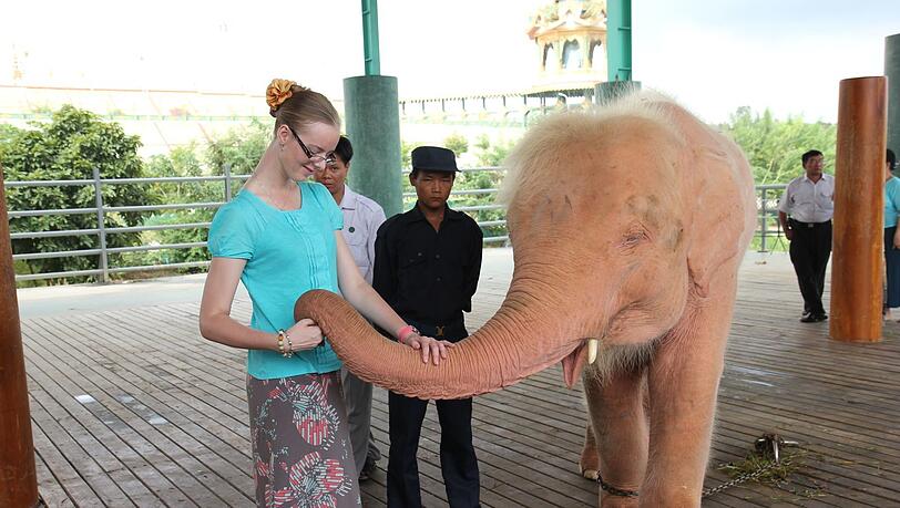 Hannah Mumby mit einem weißen Elefantenkalb in Myanmar. Hannah Mumby mit einem weißen Elefantenkalb in Myanmar.