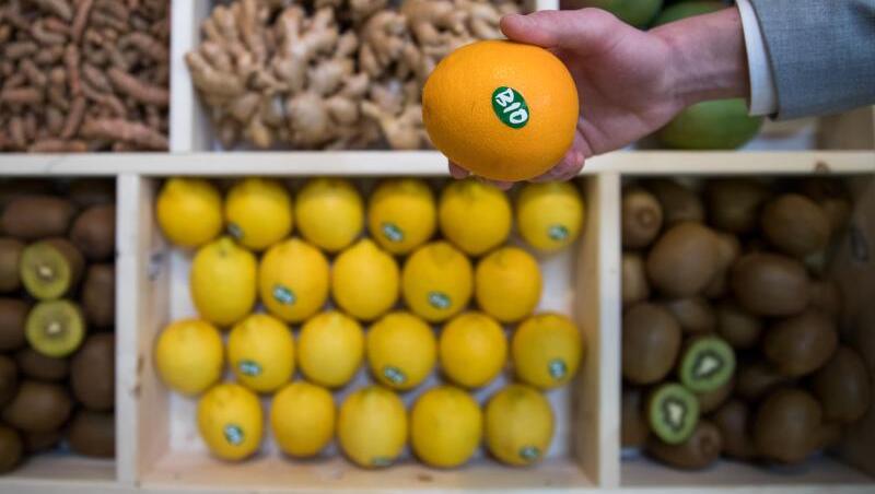 Eine Orange mit Bio-Siegel ist während der Naturkostmesse Biofach an einem Stand zu sehen. Foto: Daniel Karmann/Archiv Eine Orange mit Bio-Siegel ist während der Naturkostmesse Biofach an einem Stand zu sehen. Foto: Daniel Karmann/Archiv