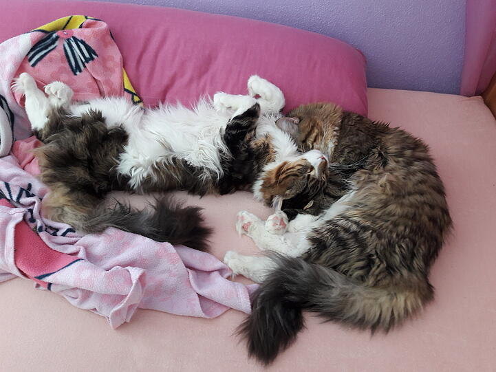 Butzi & Bärli