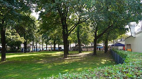 Diese Hundewiese grenzt an den Interims-Elisabethmarkt. Die CSU fordert nun: Gebt sie frei, etwa für den Wintergarten.
