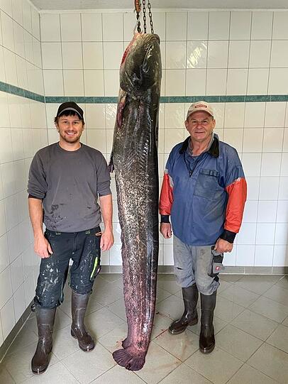 Fischermeister Michael und Hans Strobl mit einem Waller von 68,5 Kilo.