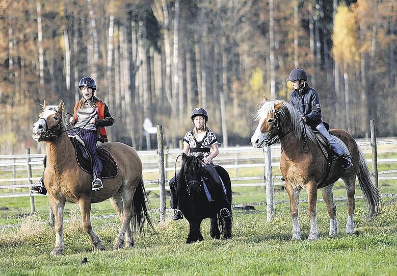 Alina, Julioa und Micaela auf ihren Pferden.