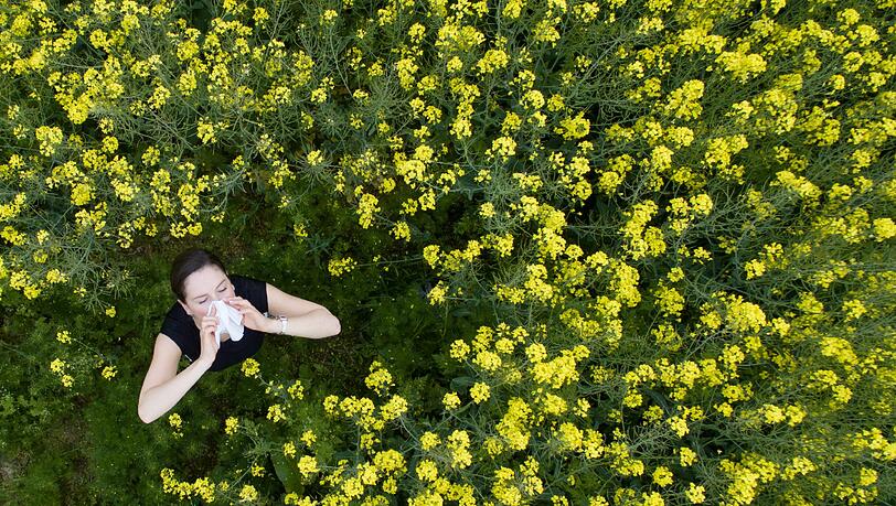 Der Januar war nicht so kalt wie sonst üblich. In einigen Bundesländern sind deshalb bereits Pollen in der Luft. Der Januar war nicht so kalt wie sonst üblich. In einigen Bundesländern sind deshalb bereits Pollen in der Luft.