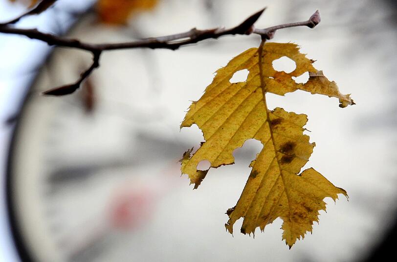 Ab Sonntag herrscht in Deutsschland wieder die Winterzeit. In der Früh wird's eher hell, abends dafür schneller dunkel.