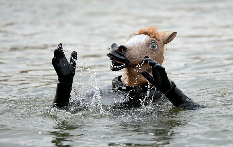 47. Donauschwimmen in Neuburg an der Donau: 2241 wagemutige Teilnehmer haben sich beim größten Winterschwimmen Europas in die eiskalten Fluten gestürzt. Die Bilder.