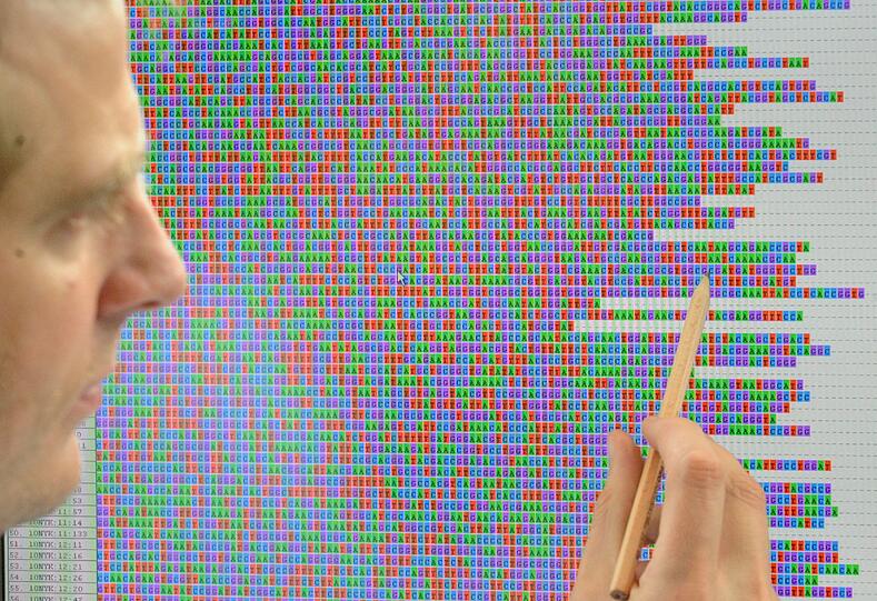 Er war an der Sequenzierung beteiligt: Der Bakteriologe Holger Rohde vom Universitätsklinikum Eppendorf zeigt auf den genetischen Code des EHEC-Erregers.