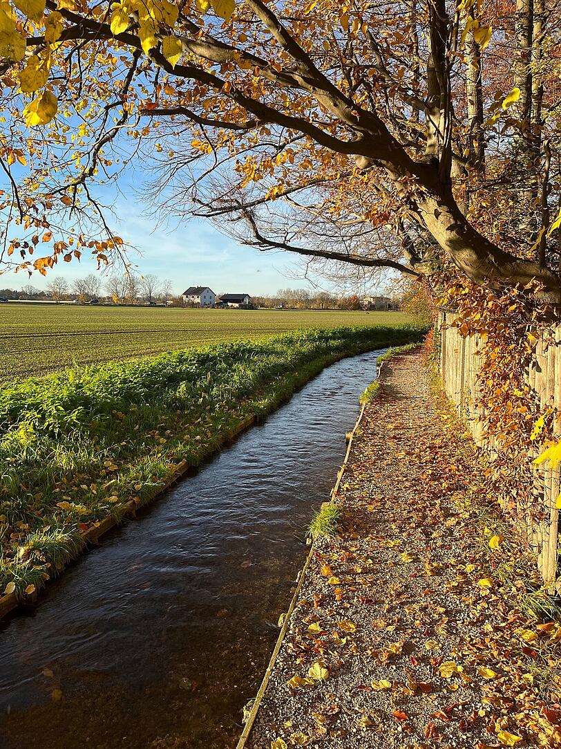 Verspertes Idyll: Der Hachinger Bach in Altperlach in der Herbstsonne.