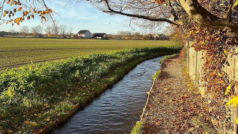 Verspertes Idyll: Der Hachinger Bach in Altperlach in der Herbstsonne.