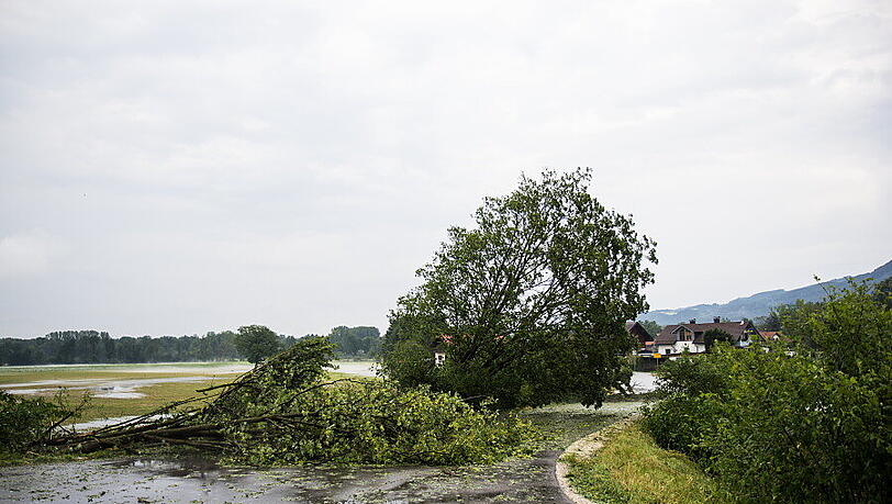 Schwere Unwetter im Berchtesgadener Land sorgten am Samstag für reichlich Chaos auf den Straßen. Die Bilder. Schwere Unwetter im Berchtesgadener Land sorgten am Samstag für reichlich Chaos auf den Straßen. Die Bilder.