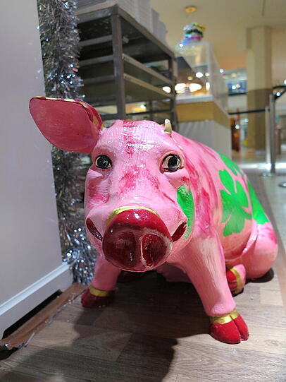 Pech gehabt: Das Einohrschwein.