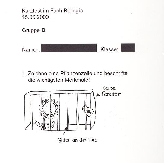 Anschaulich in Szene gesetzt, beachtlich auch der traurige Gesichtsausdruck der Pflanze: Wär&rsquo;s doch nur Kunst-, nicht Bio-Unterricht!