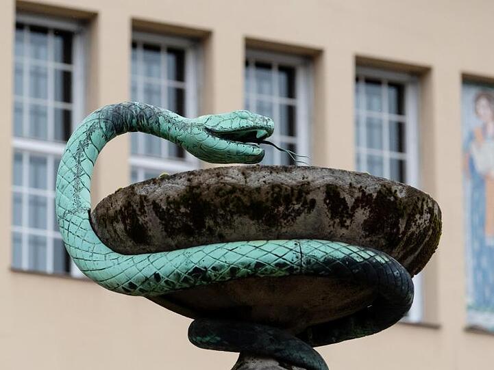 Die Skulptur einer "Äskulapnatter" ist vor dem Haupteingang des Klinikums Schwabing zu sehen. Foto: Sven Hoppe/dpa