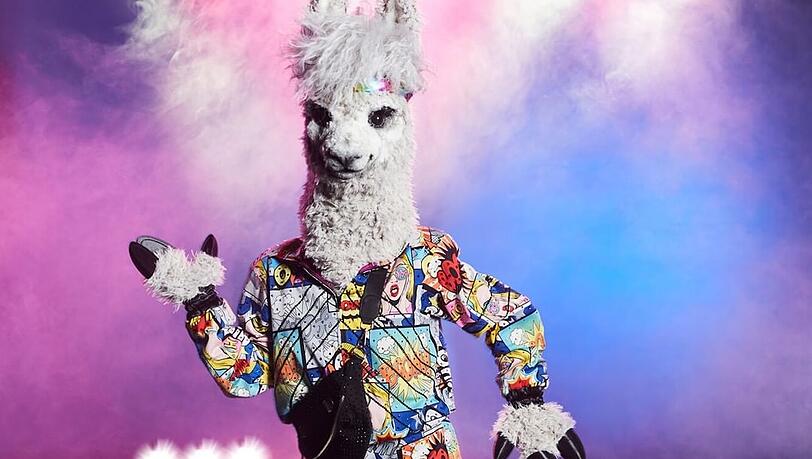 Süß und unterhaltend: Welcher Star steckt unter dem Alpaka-Kostüm von "The Masked Singer"?