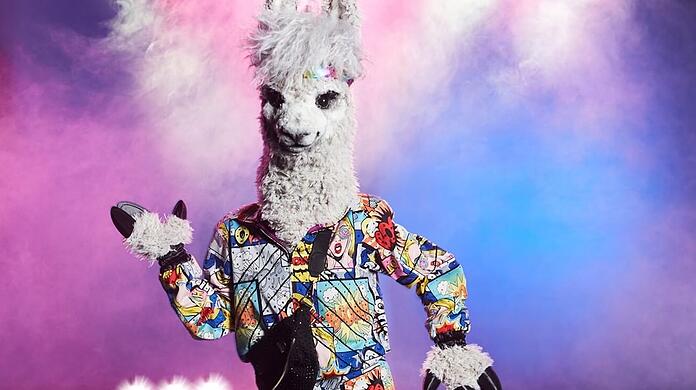 Süß und unterhaltend: Welcher Star steckt unter dem Alpaka-Kostüm von "The Masked Singer"?