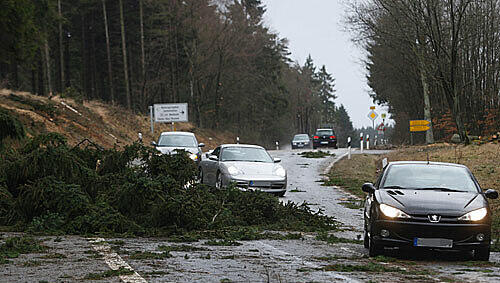 Umgestürzte Bäume in der Eifel: Orkantief "Xynthia" Umgestürzte Bäume in der Eifel: Orkantief "Xynthia"
