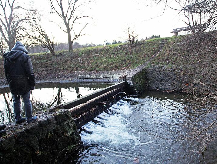 Was hingegen mit den Fischen des großen Weihers passiert ist, ist unklar: Auch hier ist laut Stuefer der Damm defekt; der Weiher läuft langsam aus.