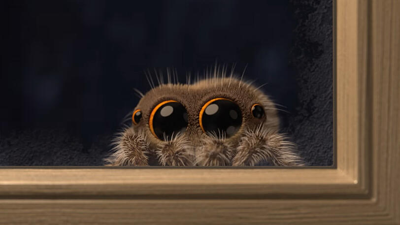 "Lucas the Spider" ist zurück.