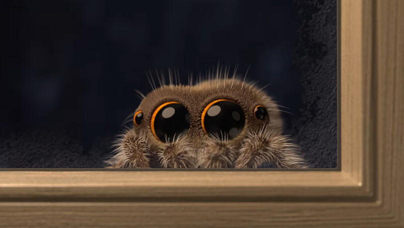 "Lucas the Spider" ist zurück. "Lucas the Spider" ist zurück.